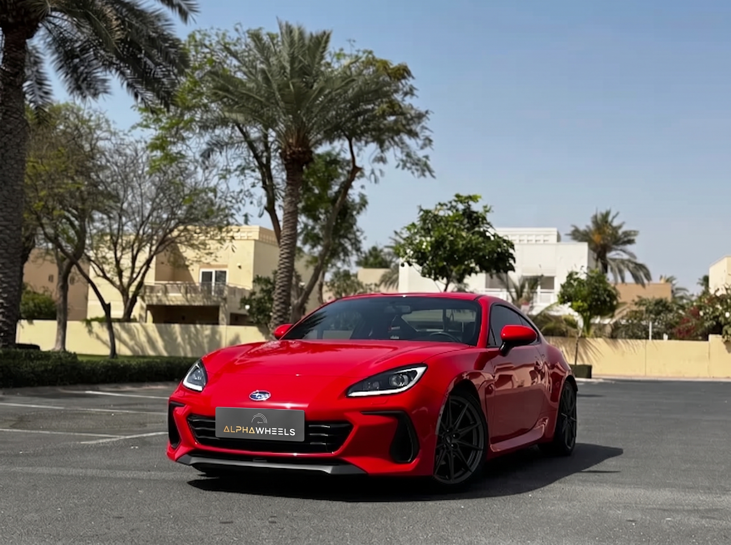 Alpha Red Car